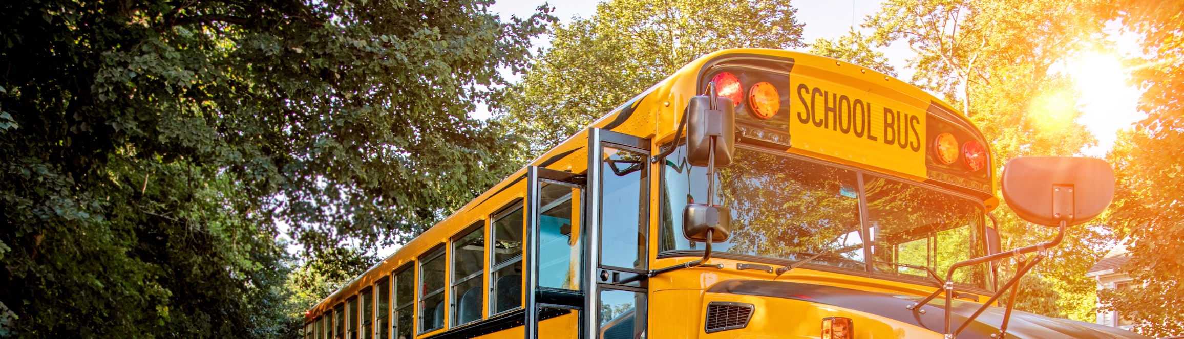School Bus