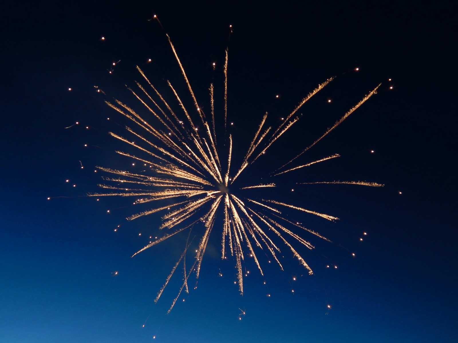 Happy New Year