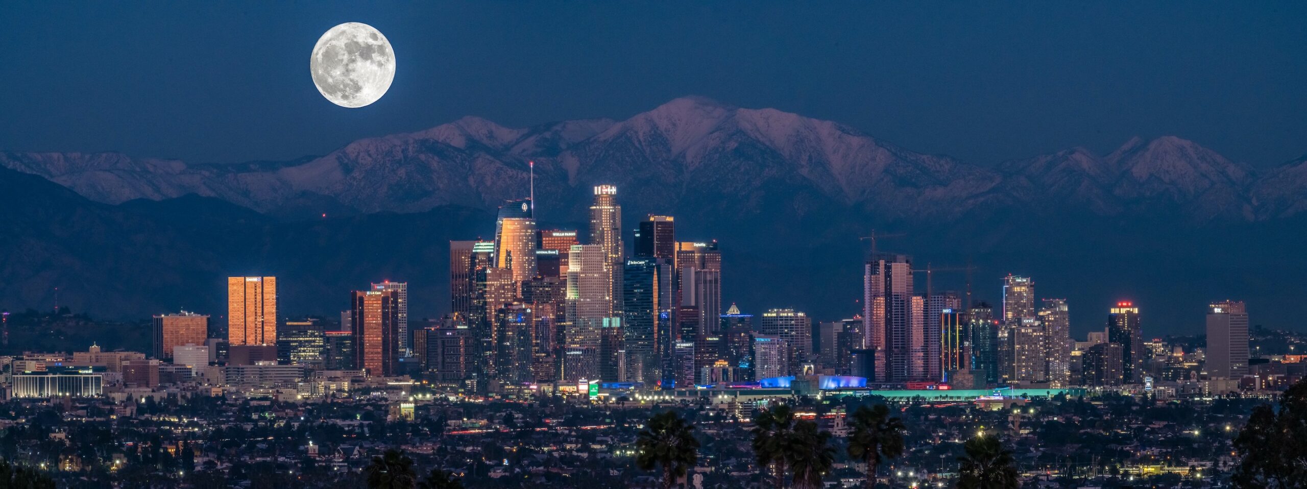 Los Angeles Skyline