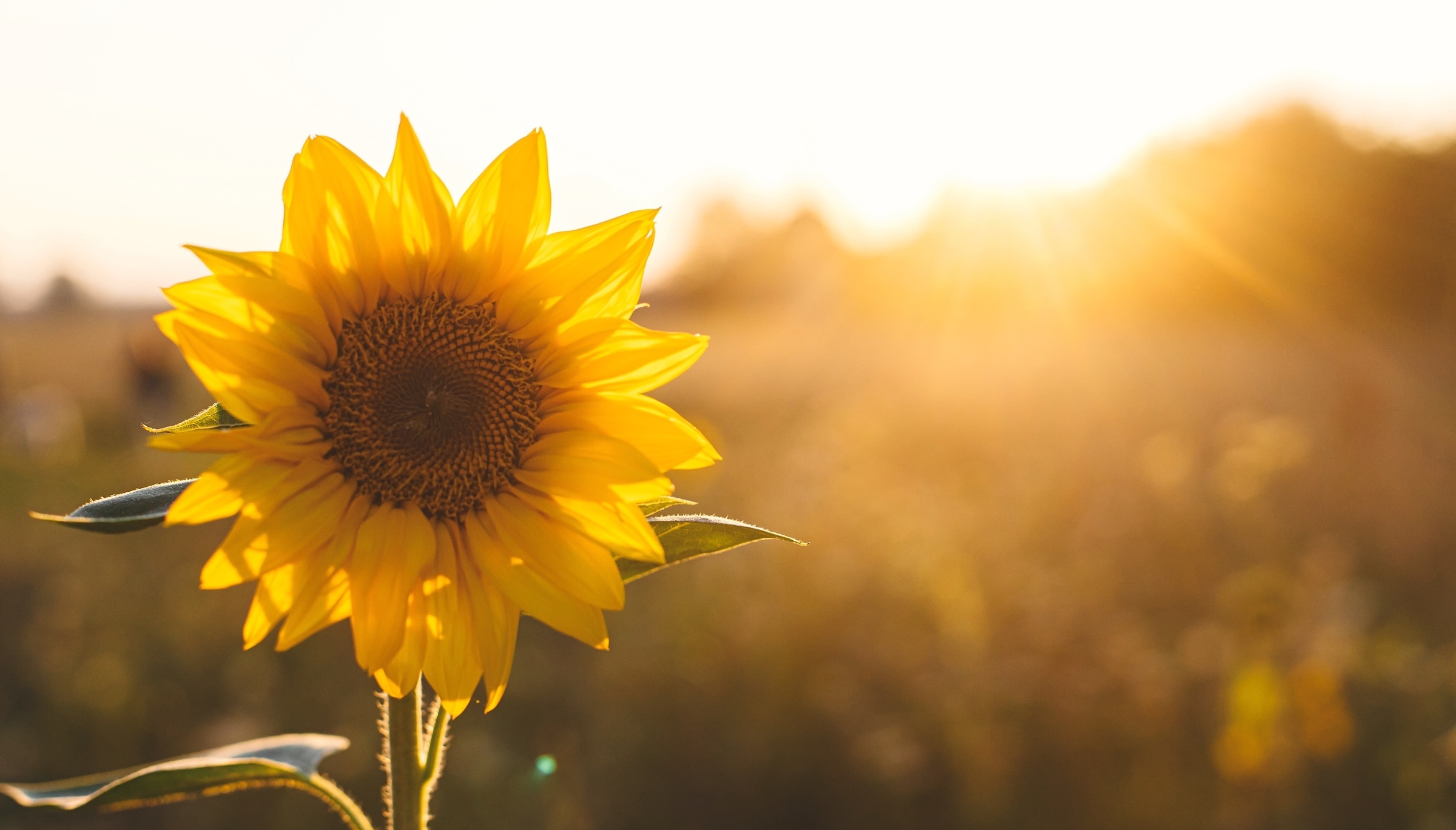 Myth or Fact: The Summer Solstice Drives More Security Incidents 